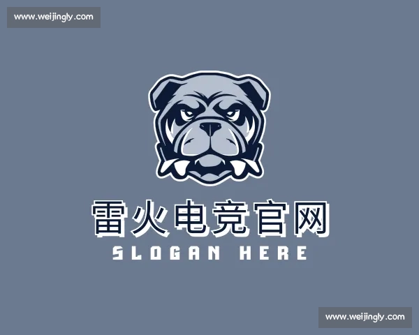 介绍雷火电竞官网